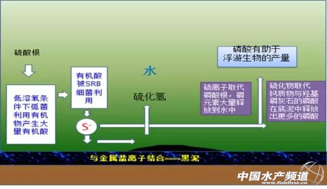 调水 | 硫化氢危害不小，如何有效防控它？