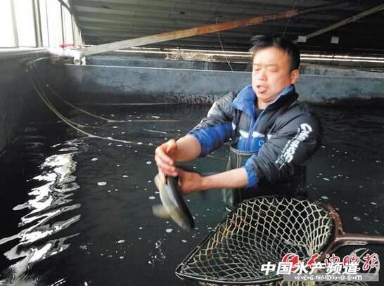 新闻 | 反其道而行，这位老板专养瘦鱼，年销售额近千万