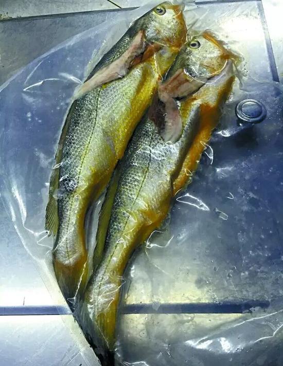 风波 | 天！点两条小黄鱼花4628元！餐馆未明码标价