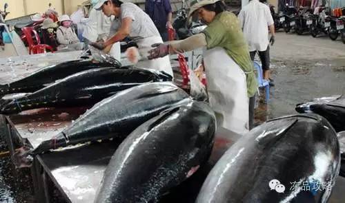 越南金枪鱼出口情况好转，前10月总额8790万美元