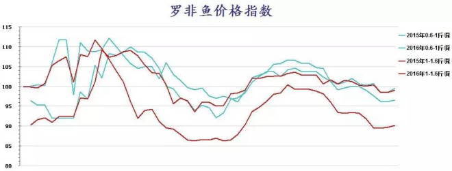 华南18个罗非鱼主产区鱼价：整体坚挺，云南均跌五毛一斤