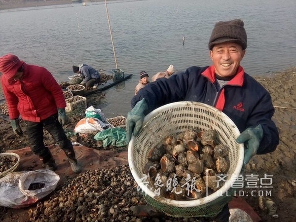 山东青岛海鲜上市赶春节，养殖户5个月赚20多万