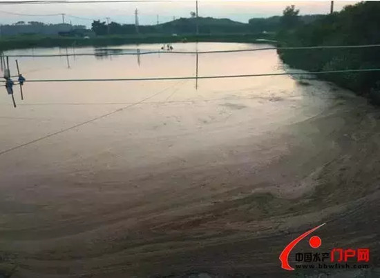 北风停后，气温早晚温差大，需加大棚区增氧
