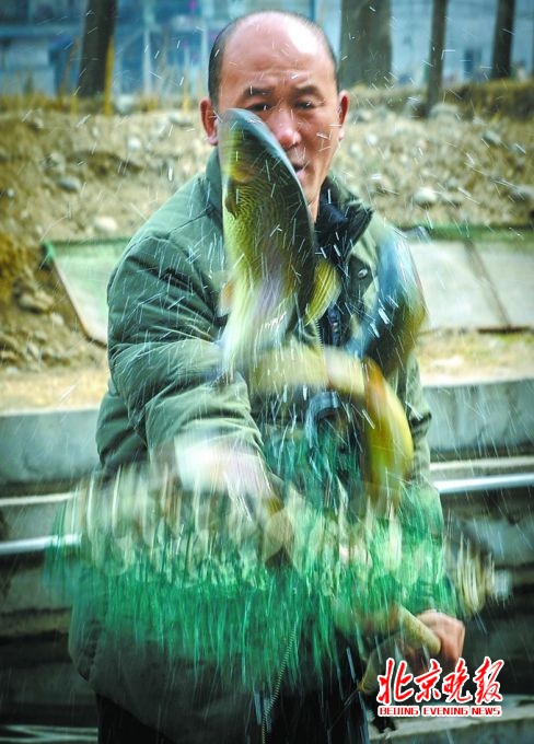 揭秘 | 虹鳟肉质鲜嫩全是因为水？ 养殖人揭晓背后秘密