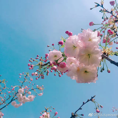 天气 | 南方明起和阳光说拜拜 北方继续享春光